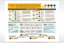 Cambridge Judge Digital Delivery Infographic