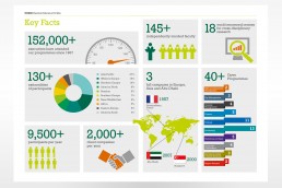 INSEAD Key Facts Infographic