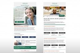 INSEAD EDM Templates